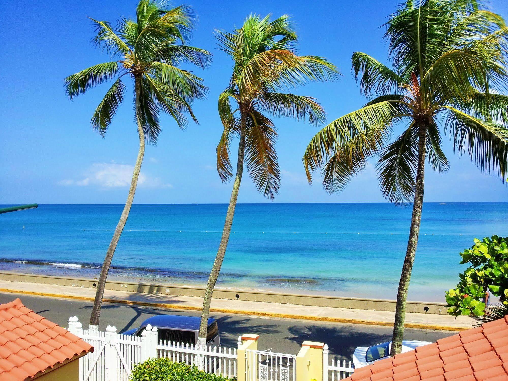 Tres Palmas Inn San Juan Exteriér fotografie